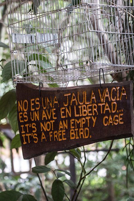 Empty Bird Cage, Jardin de los Picaflores, Puerto Iguazú, Argentina