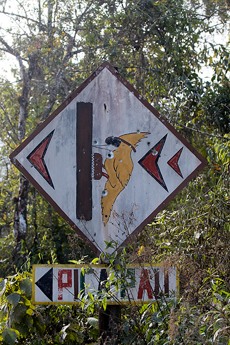 Pica Pau (Woodpecker) Lodge, Brazil