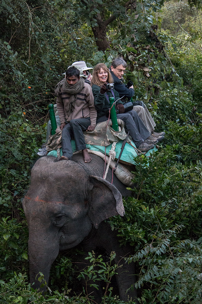 Elephant Safari, Tiger Camp, India